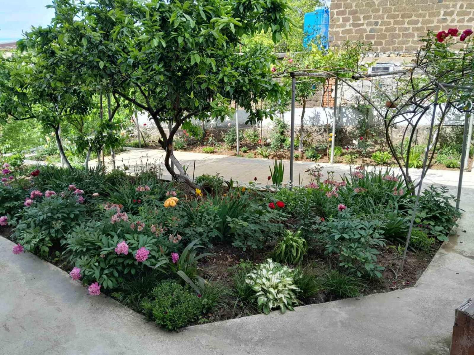 Guest House T&N Kutaisi Exterior photo