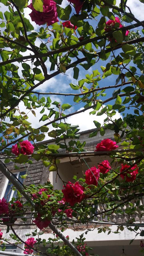 Guest House T&N Kutaisi Exterior photo
