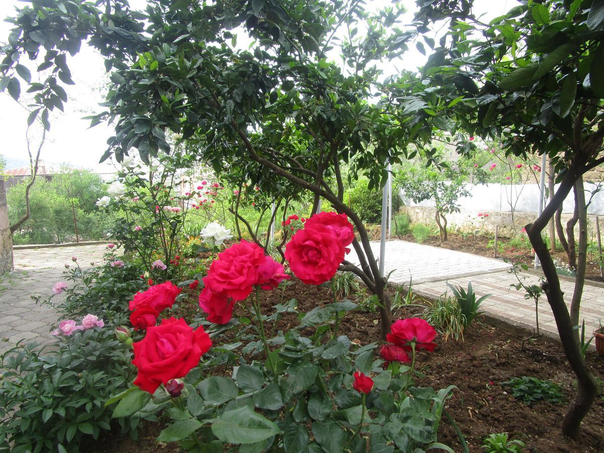 Guest House T&N Kutaisi Exterior photo